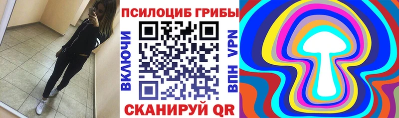 Галлюциногенные грибы Psilocybe  Самара 